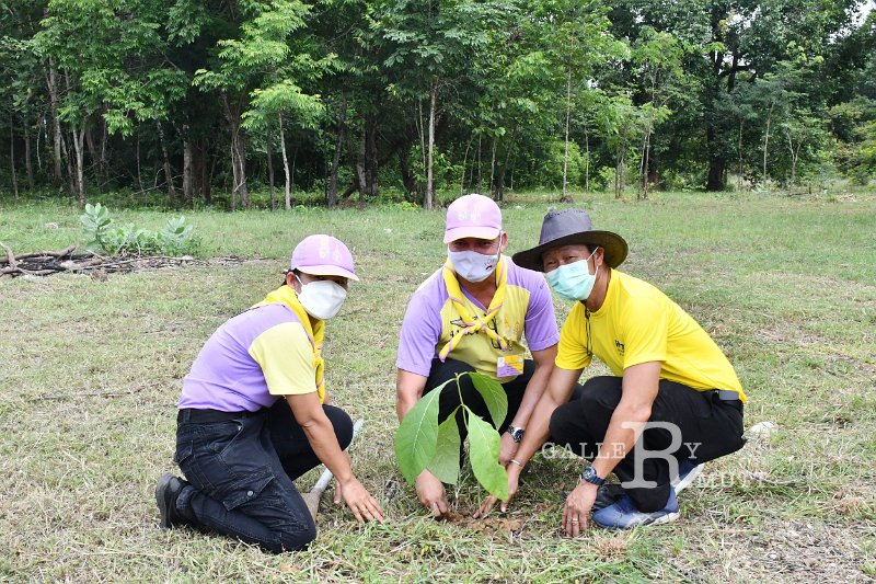 20210526-Tree planting dayt-179.JPG